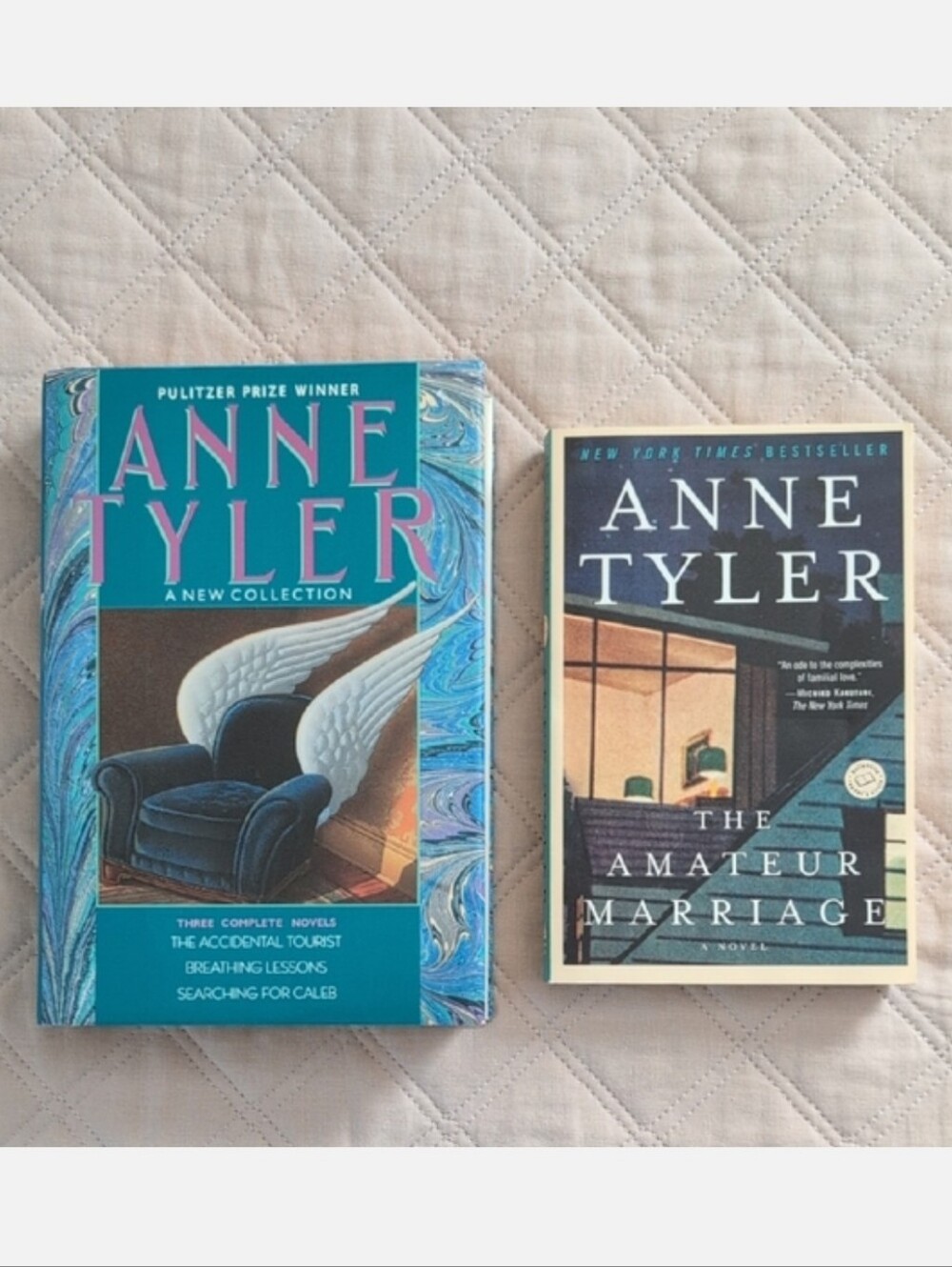 2 Anne Tyler Books Hardcover 3 Novels and Soft Cover The Amateur Marriage